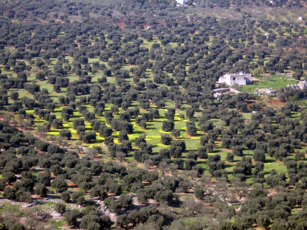 I Trulli Di Acquarossa Aparthotel ชิสแตร์นีโน ภายนอก รูปภาพ